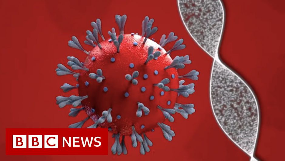 Coronavirus vaccine: How close are we and who will get it? – BBC News