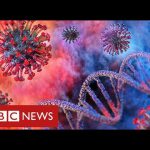 Coronavirus will remain a threat “for a very long time” warn leading scientists – BBC News