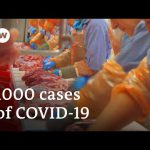 Coronavirus infects more than 1000 at German meat-processing plant | DW News