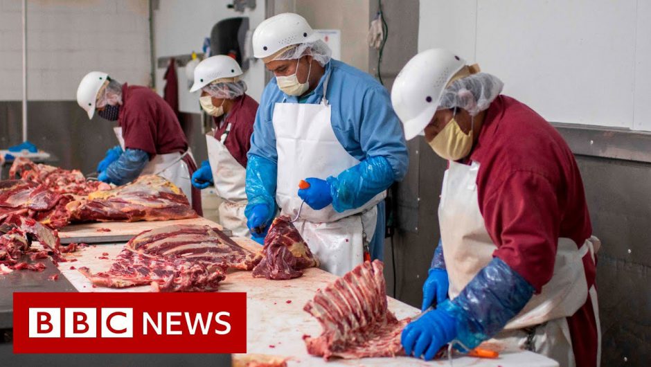 Coronavirus: Why are there outbreaks in meat processing plants? – BBC News