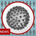 Coronavirus: How many more people are dying? – BBC News
