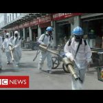 Fears of second wave in China – as questions continue about origins of coronavirus – BBC News