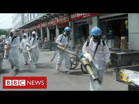 Fears of second wave in China – as questions continue about origins of coronavirus – BBC News