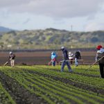 Despite coronavirus impact, U.S. Mexican workers send big amounts of money back home