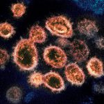 COVID-19 virus survives for 28 days on surfaces in lab: study