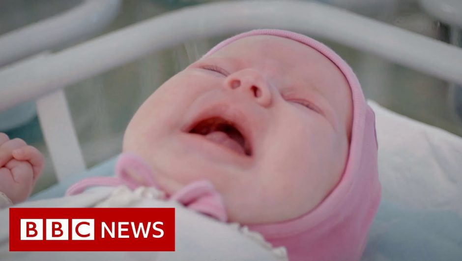 Coronavirus: Surrogate babies stranded in Ukraine – BBC News
