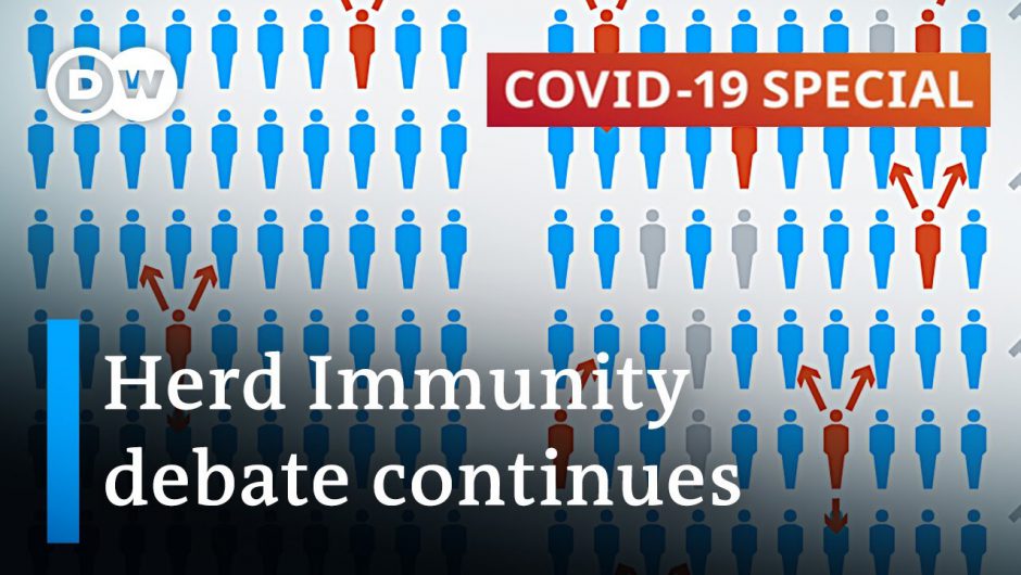 Experts argue about herd immunity as a strategy in the fight against coronavirus | COVID-19 Special