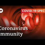 How long does immunity against the coronavirus last? | COVID-19 Special