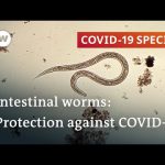 Coronavirus: Are parasitic worms responsible for low fatality rates in Africa? | COVID-19 Special