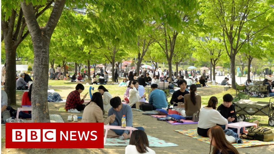 Coronavirus: How South Korea 'crushed' the curve – BBC News