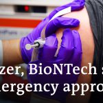 Pfizer, BioNTech seek emergency approval for coronavirus vaccine | DW News