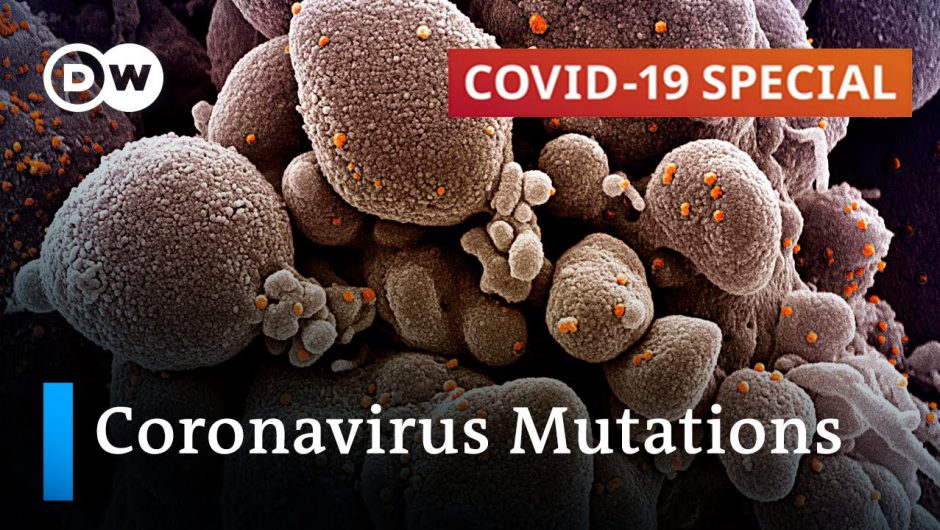 How dangerous can mutated coronavirus strains be? | COVID-19 Special