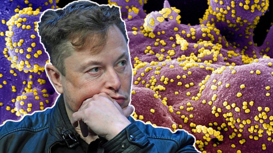 Elon Musk promoted coronavirus misinformation for months. Then his own infection kept him out of SpaceX’s astronaut launch.