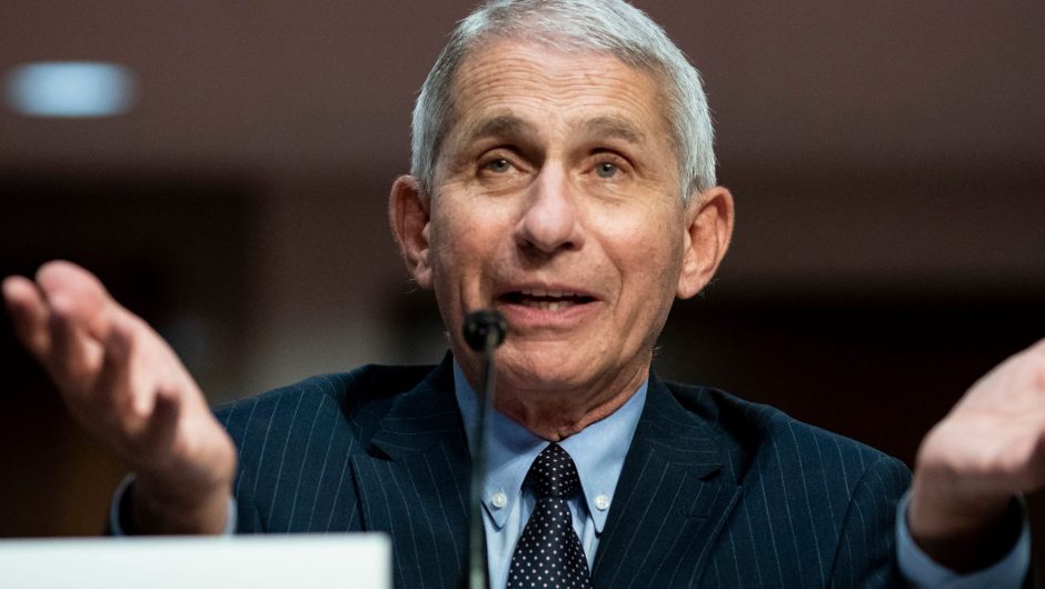 Fauci says Americans are ‘in for a whole lot of hurt’ with the COVID-19 surge
