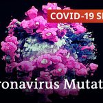 Understanding what's driving coronavirus mutations | COVID-19 Special
