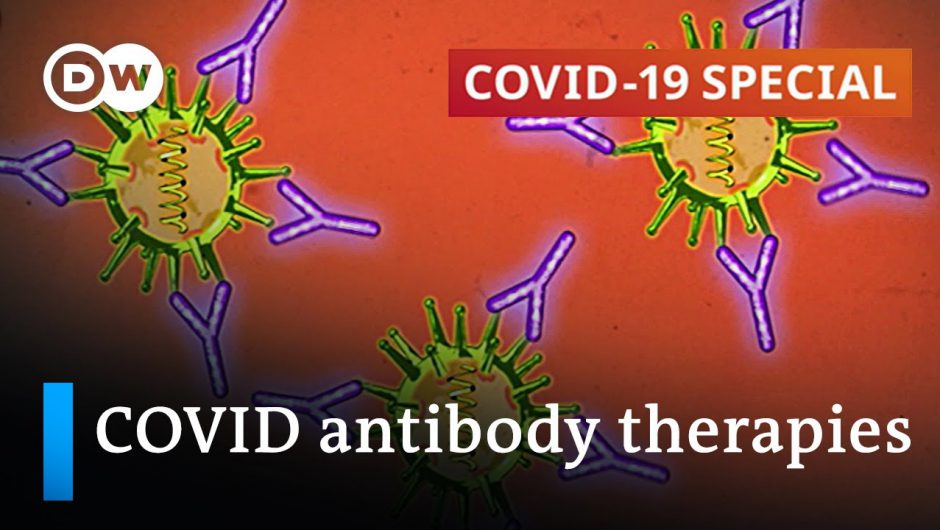 Antibody drugs and blood plasma therapy: Livesavers for COVID patients? | COVID-19 Special