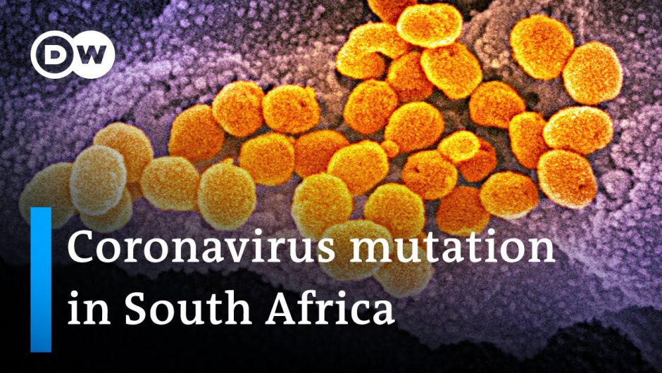Mutated coronavirus strain drives infections in South Africa | COVID Update