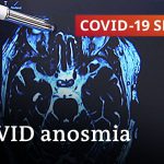 Latest research: Long-covid and the loss of smell | COVID-19 Special