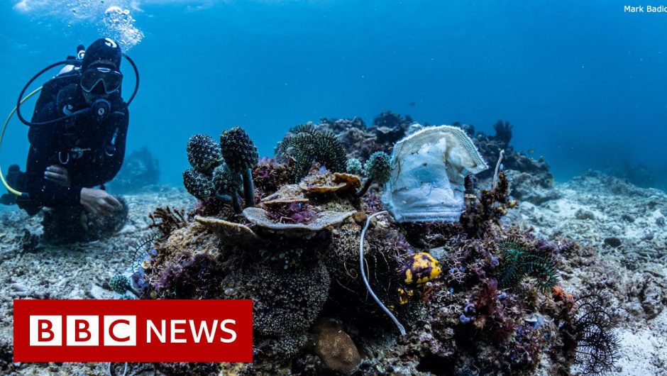 Philippines reef littered with face masks – BBC News