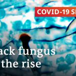India sees rise in rare 'black fungus' infections | COVID-19 Special
