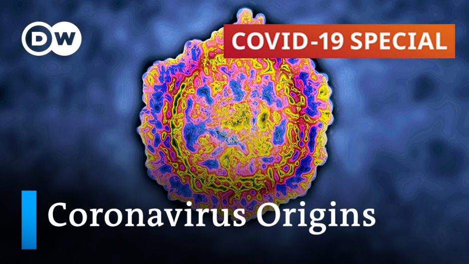 How forensic researchers track down the origins of SARS-CoV2 | COVID-19 Special
