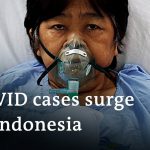 Red Cross warns Indonesia 'on the edge of a COVID-19 catastrophe' | DW News