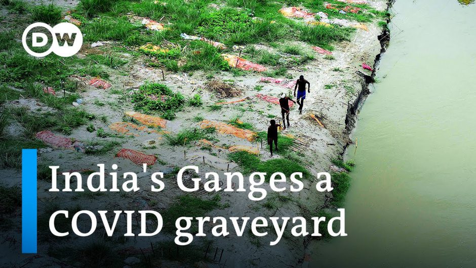 Flooding of India's Ganges reveals hundreds of COVID graves | DW News