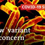 How dangerous is the Indian variant of the coronavirus? | COVID-19 Special