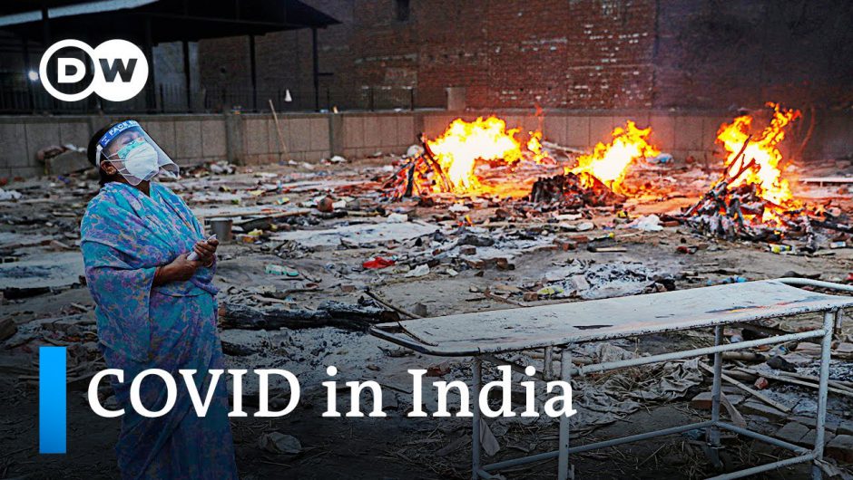 India records another record high in daily COVID deaths and infections | DW News