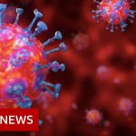 Coronavirus: deaths rates double to highest in 20 years – BBC News