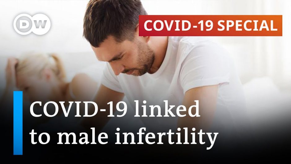 COVID-19: Vaccines are safe for reproductive health | COVID-19 Special