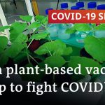 Plant-based vaccines for COVID-19 and other viruses | COVID-19 Special