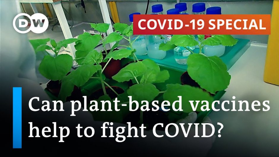 Plant-based vaccines for COVID-19 and other viruses | COVID-19 Special
