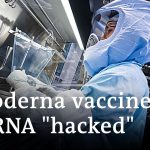 Moderna mRNA 'hacked' by scientists, posted online | DW News