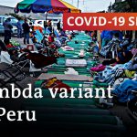 Lambda variant pushes up death toll in Peru | COVID-19 Special
