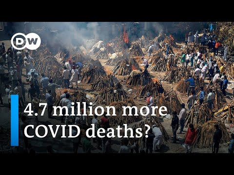 India's COVID deaths up to ten times higher than official tally | DW News