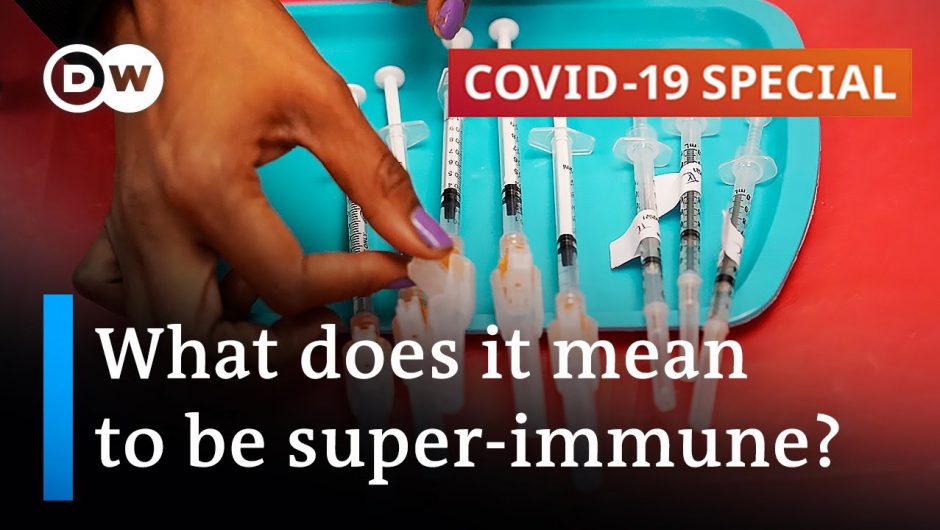 Immunity to all forms of the coronavirus may be closer than we thought | COVID-19 Special