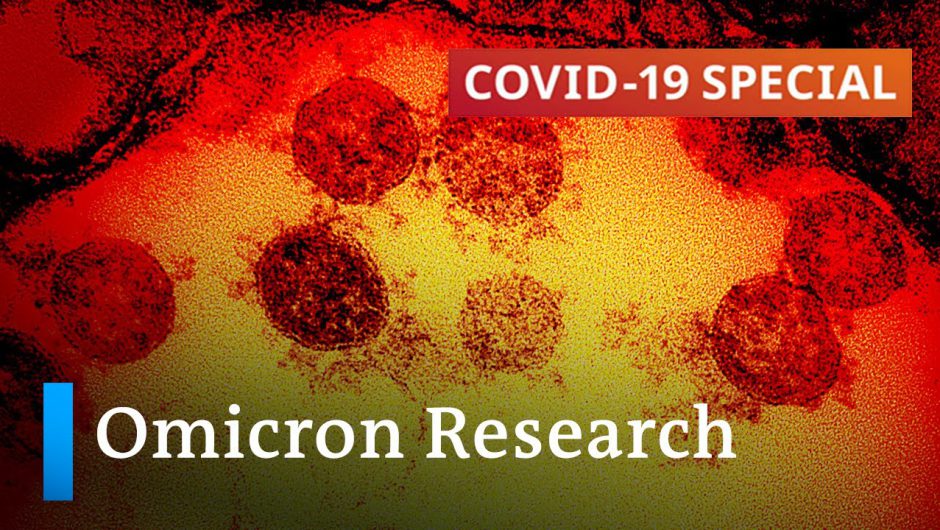 Origin, transmissibility, severity: What we know about the Omicron variant so far | COVID19 Special